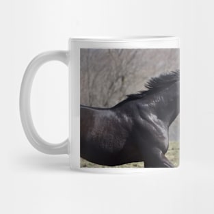 Ralla Mug